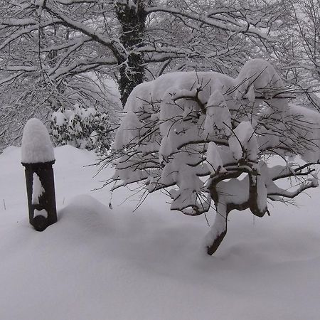 马子利尼耶瑞住宿加早餐旅馆 Saint-Sylvestre  外观 照片