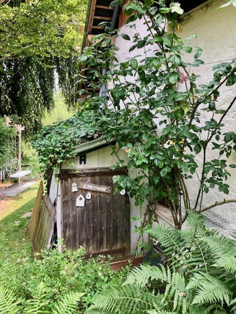 马子利尼耶瑞住宿加早餐旅馆 Saint-Sylvestre  外观 照片